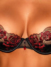 Bonita Bra