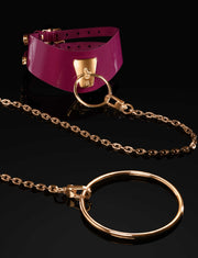 Haylee Collar