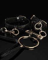 Mistress T Black Bondage Kit
