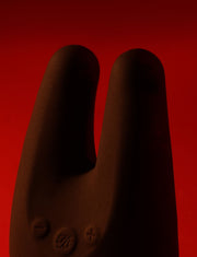 Venus Black